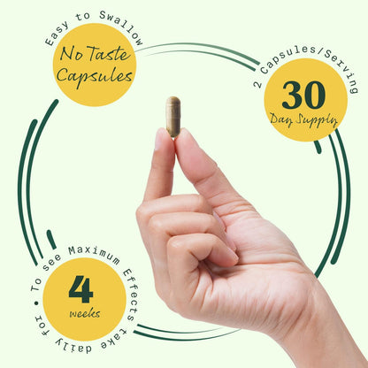 BetterLungs Daily Respiratory Health Supplement (60 Capsules) | with Vitamin D, Elderberry, Ginseng, Mullein, and Reishi Mushroom | for Lung Health, Allergy, Sinus, and Mucus Relief