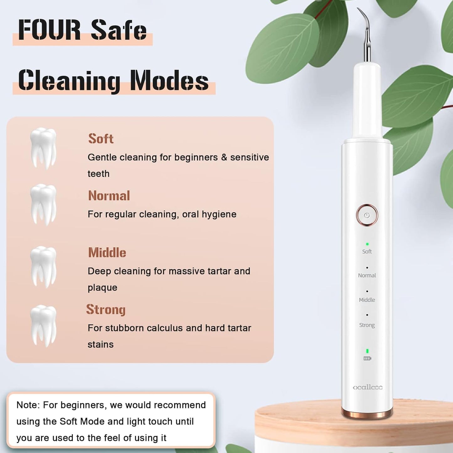 JEEBOX Plaque Remover for Teeth, Electric Tooth Cleaner Tartar Remover for Teeth, Teeth Cleaning Kit Dental Tools with 4 Adjustable Modes & 2 Replaceable Heads & Oral Mirror & LED Light