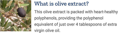 Life Extension Super Omega-3 360 Softgels, Easy to Swallow, EPA/DHA Omega3 Fish Oil, Sesame Lignans & Olive Extract