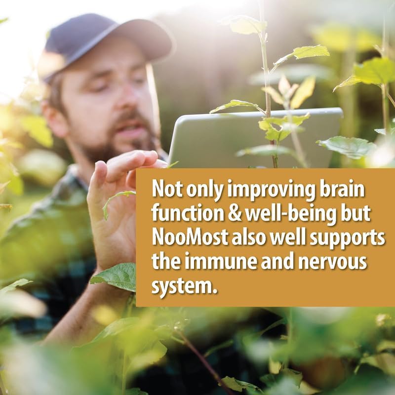 Noomost Organic Lions Mane Supplement Capsules 5400mg, Ginkgo Biloba 120mg – Vegan Lion Mane Mushroom Supplement for Cognitive Function, Mental Clarity, Focus & Memory – 2 Months