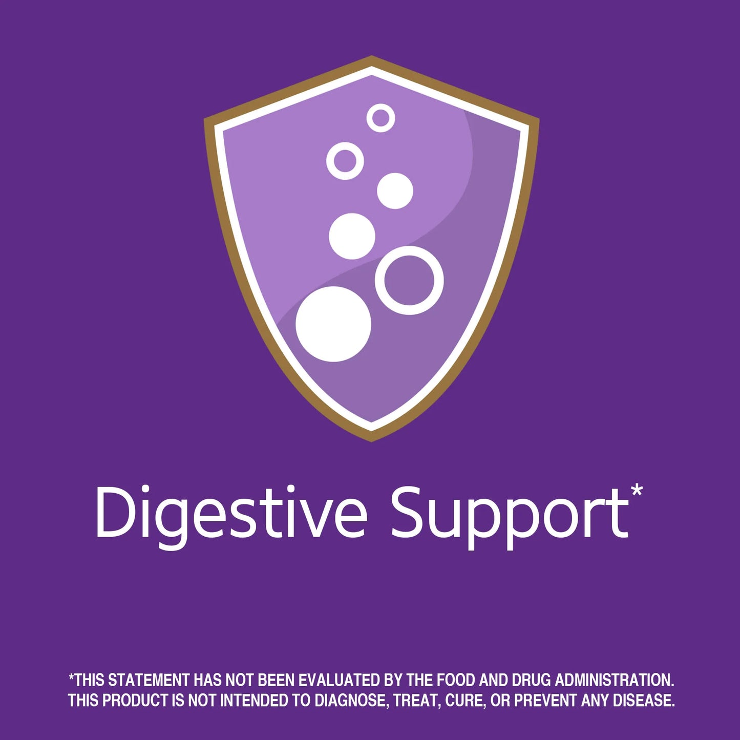 21st Century Digestive Enzymes, 60 Capsules