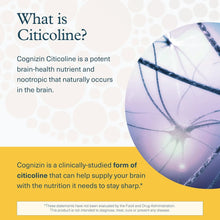 Youtheory Lion's Mane - 60 Vegetarian Capsules