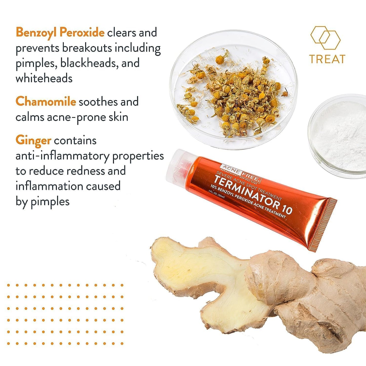 Acne Free Terminator 10 Acne Spot Treatment - 1oz