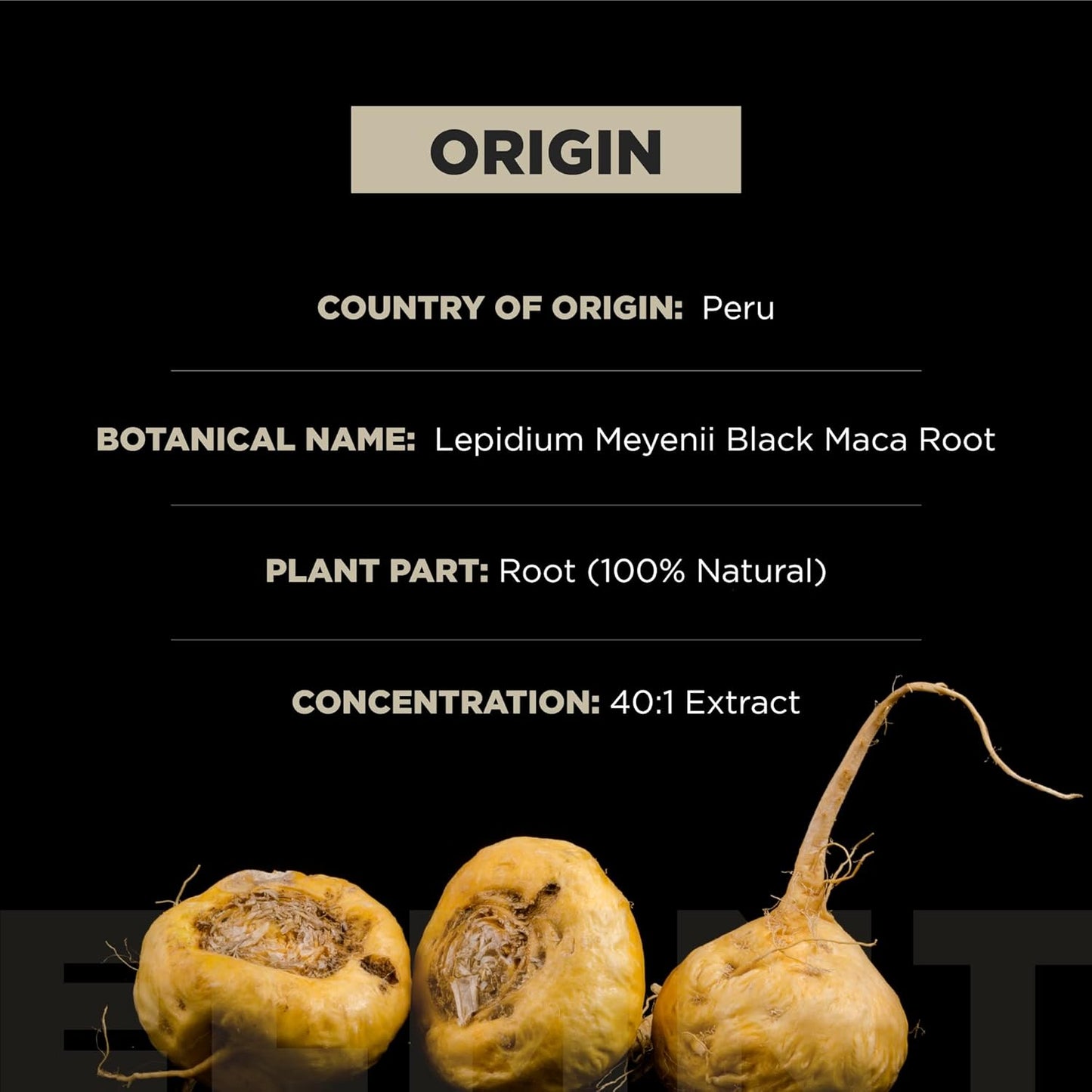 Organic Black Maca Root w. Ashwagandha - Highest Potency Black Maca Root Capsules for Men with 100% Pure Maca Peruana Powder Organic, Gelatinized, Non-GMO - 60 Pills