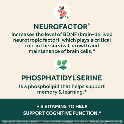 NEURIVA Plus Vegetarian Brain Supplement For Memory, Focus & Concentration + Cognitive Function, Vitamins B6 & B12 and Clinically Tested Nootropics Phosphatidylserine and Neurofactor, 30ct Capsules