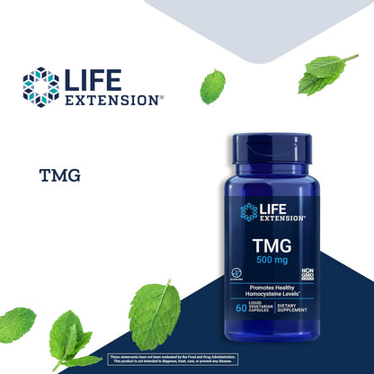 Life Extension TMG 500 mg – Trimethylglycine Supplement – Encourages Healthy Homocysteine Levels – Gluten-free – Non-gmo – Vegetarian – 60 Liquid Vegetarian Capsules