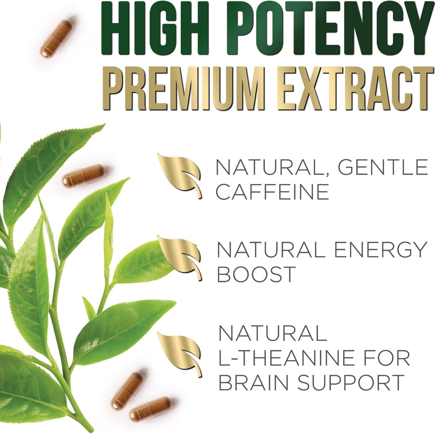 Nature's Nutrition Green Tea Extract Capsules 98% Standardized EGCG 1000mg - 3X Strength for Natural Energy - Heart Support with Polyphenols - Gentle Caffeine - 240 Capsules