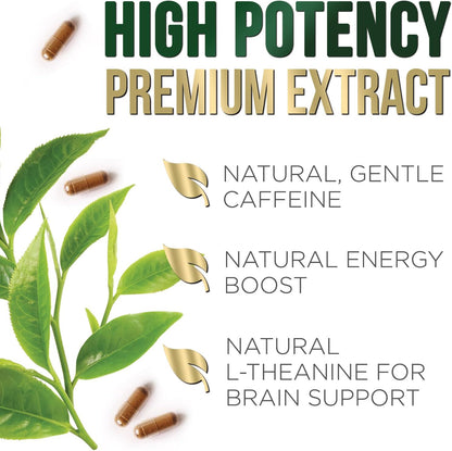 Nature's Nutrition Green Tea Extract Capsules 98% Standardized EGCG 1000mg - 3X Strength for Natural Energy - Heart Support with Polyphenols - Gentle Caffeine - 240 Capsules