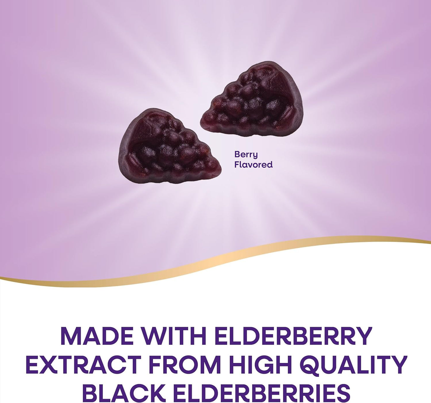 Nature's Way Elderberry Gummies Vitamin C, Vitamin D & Zinc, Immune Support for Kids & Adults 60 Gummies