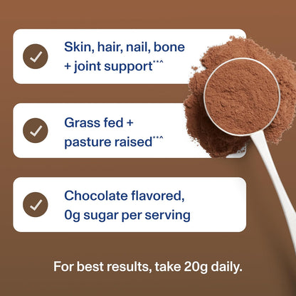 Vital Proteins Collagen Peptides Powder - Chocolate Powder, 13.5oz