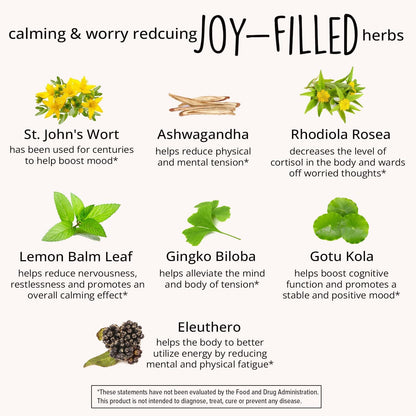 Joy-Filled Mood Support Supplement with St. Johns Wort | Stress Relief Supplement - 60 ct