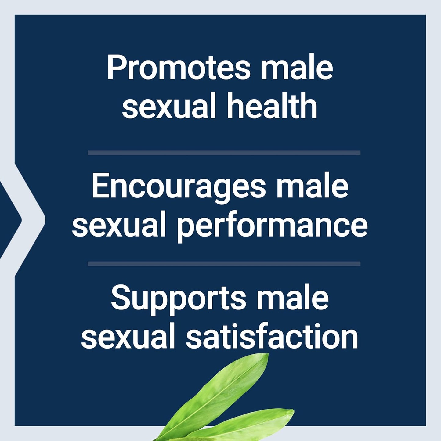 Life Extension, Male Vascular Sexual Support, 30 Vegetarian Capsules