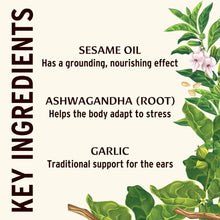 Banyan Botanicals Ear Oil – Organic Herbal Drops with Ashwagandha, Bilva & Garlic – Soothing and Comforting for The Ears – 1 oz – Non GMO Sustainably Sourced No Sting Banyan Botanicals