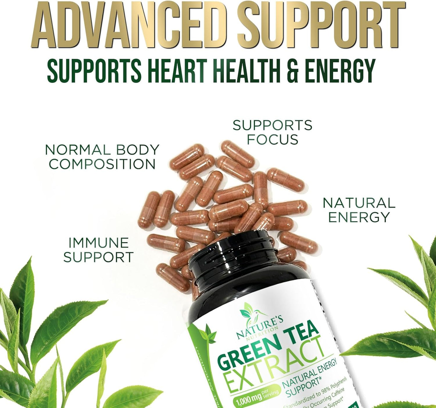 Nature's Nutrition Green Tea Extract Capsules 98% Standardized EGCG 1000mg - 3X Strength for Natural Energy - Heart Support with Polyphenols - Gentle Caffeine - 240 Capsules