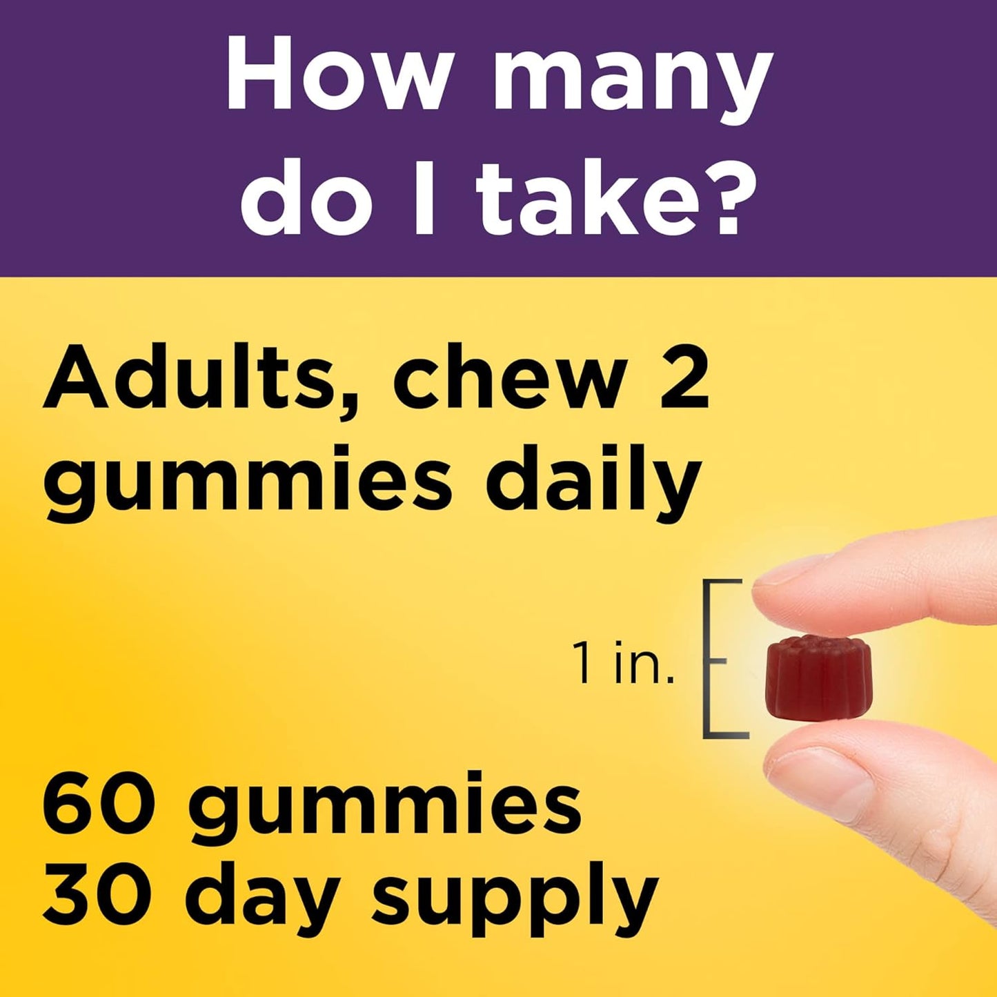 Nature Made Elderberry with Vitamin C and Zinc, 60 Elderberry Gummies