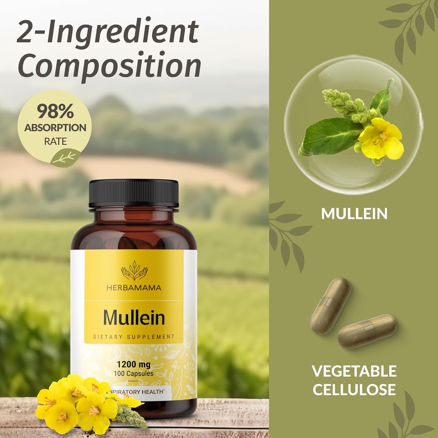Mullein Leaf Capsules - Lung Cleanse - Respiratory Health - Organic Mullein Leaf Extract for Lung Detox - 1200mg 100 Vegan Caps