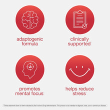 Youtheory Saffron - Vegan Energy Supplement for Men & Women* - 60 Vegetarian Capsules Youtheory