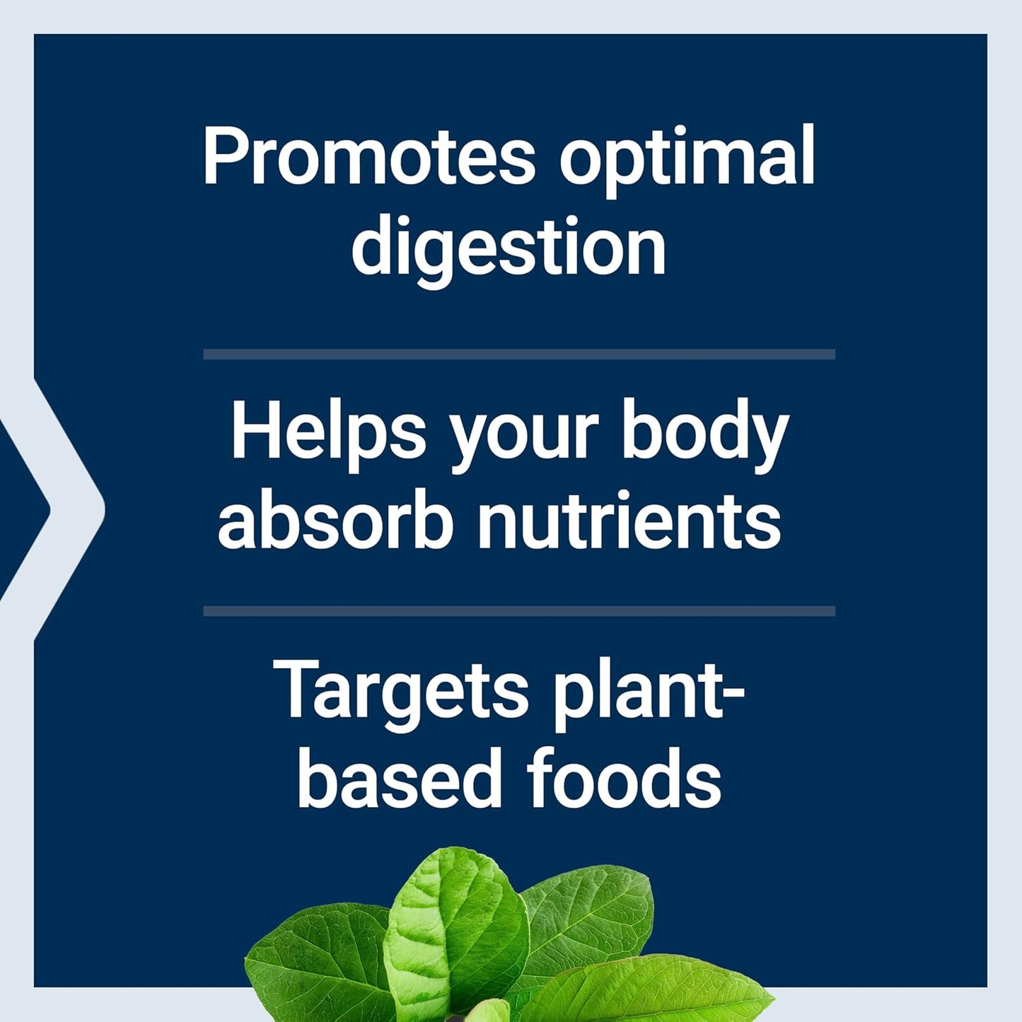Life Extension, Enhanced Super Digestive Enzymes, 60 Vegetarian Capsules