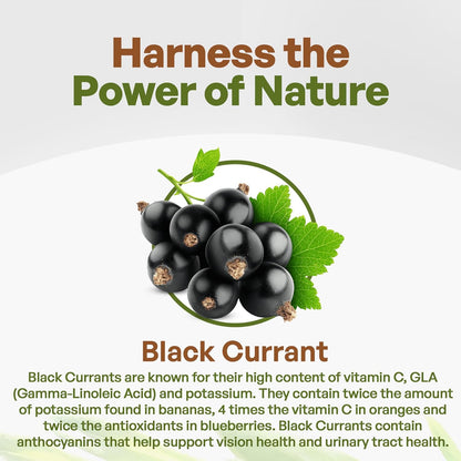 Go Nutra Black Currant Powder Ribes Nigrum 1lb Antioxident Anthocyanin Blackcurrant Berry