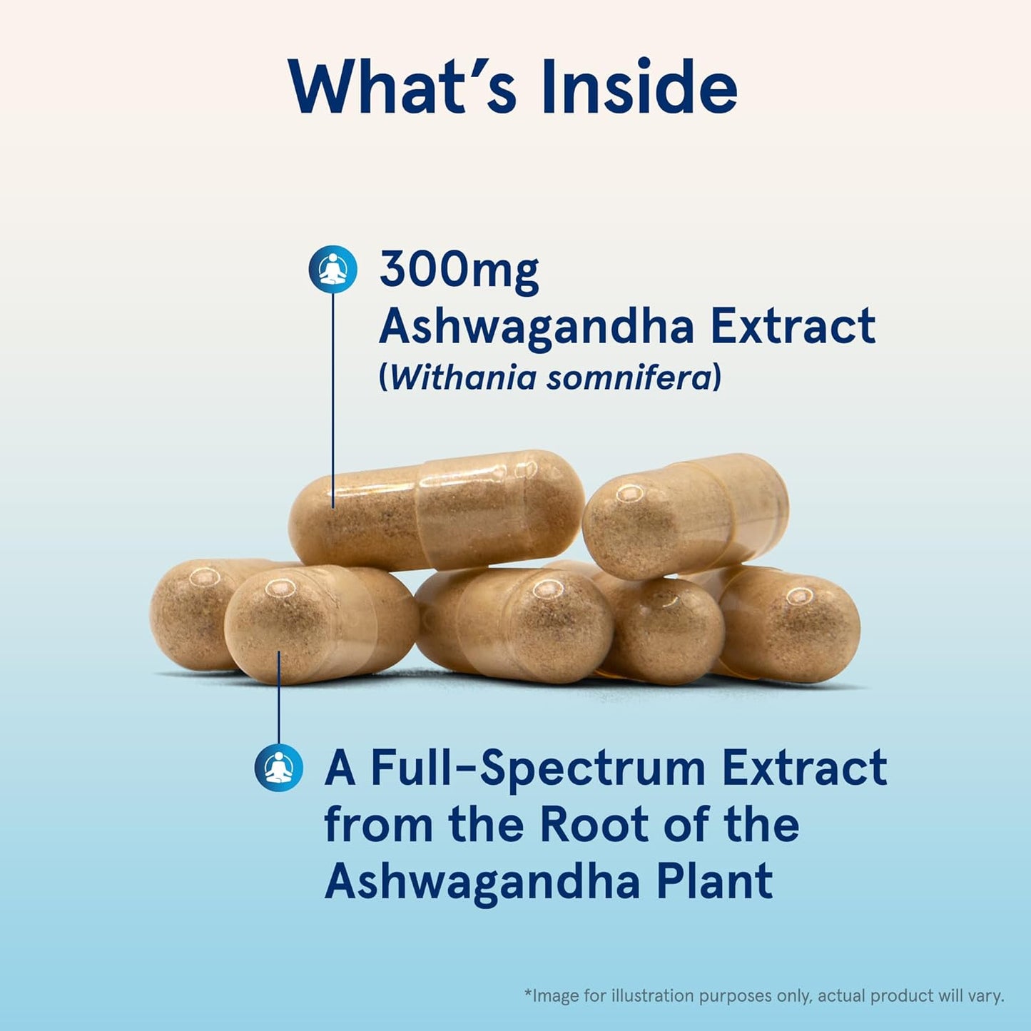 Jarrow Formulas Ashwagandha Capsules, 300 mg Supplement Supports Normalized Resistance to Mental and Physical Stress, 120 Veggie Capsules, 60 Day Supply