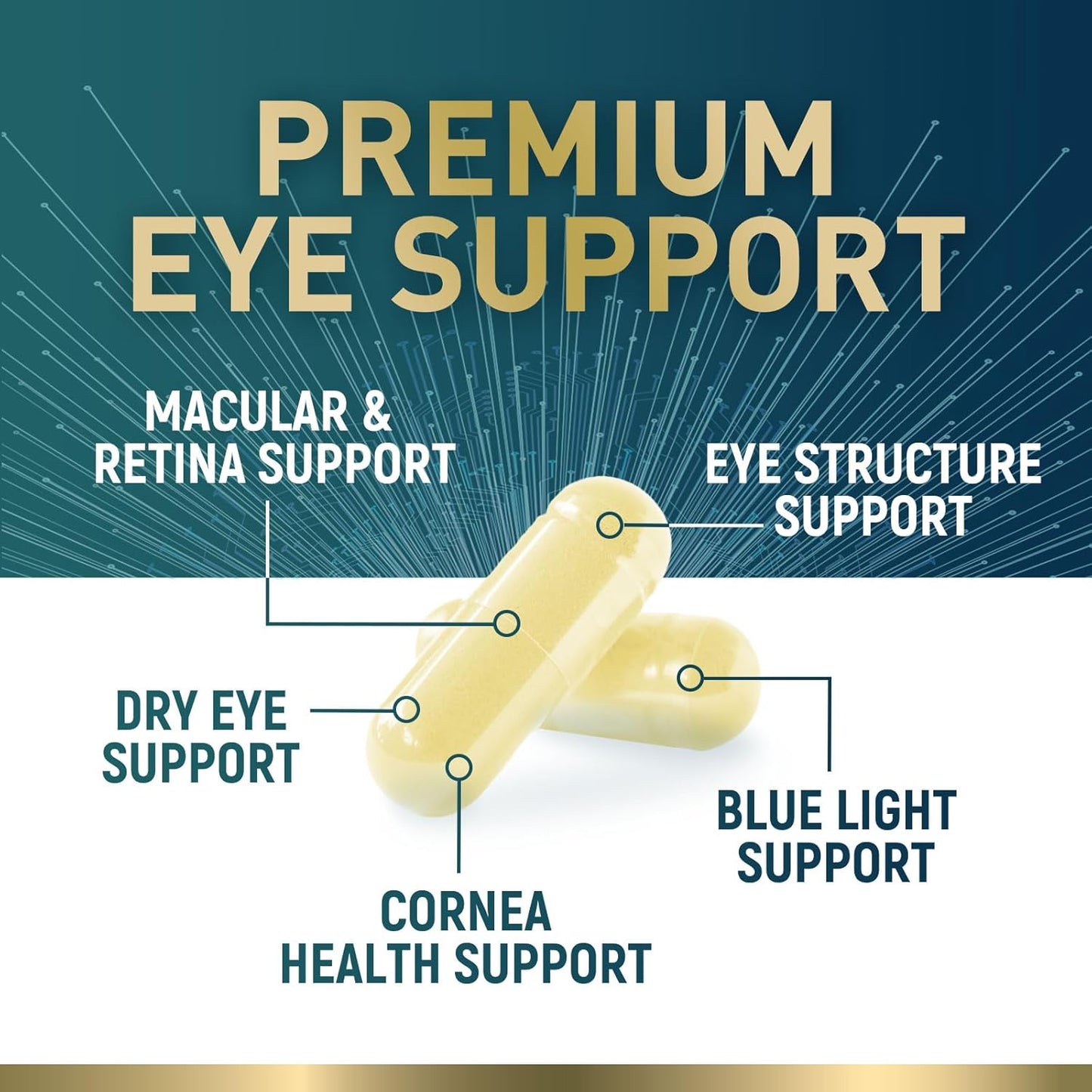 Nature's Nutrition Eye Vitamins with Lutein, Zeaxanthin, Bilberry & Zinc, Supports Eye Strain, Vision Health & Dryness for Adults with Vitamins C & E - Non-GMO, Vegan Eye Supplement - 120 Capsules