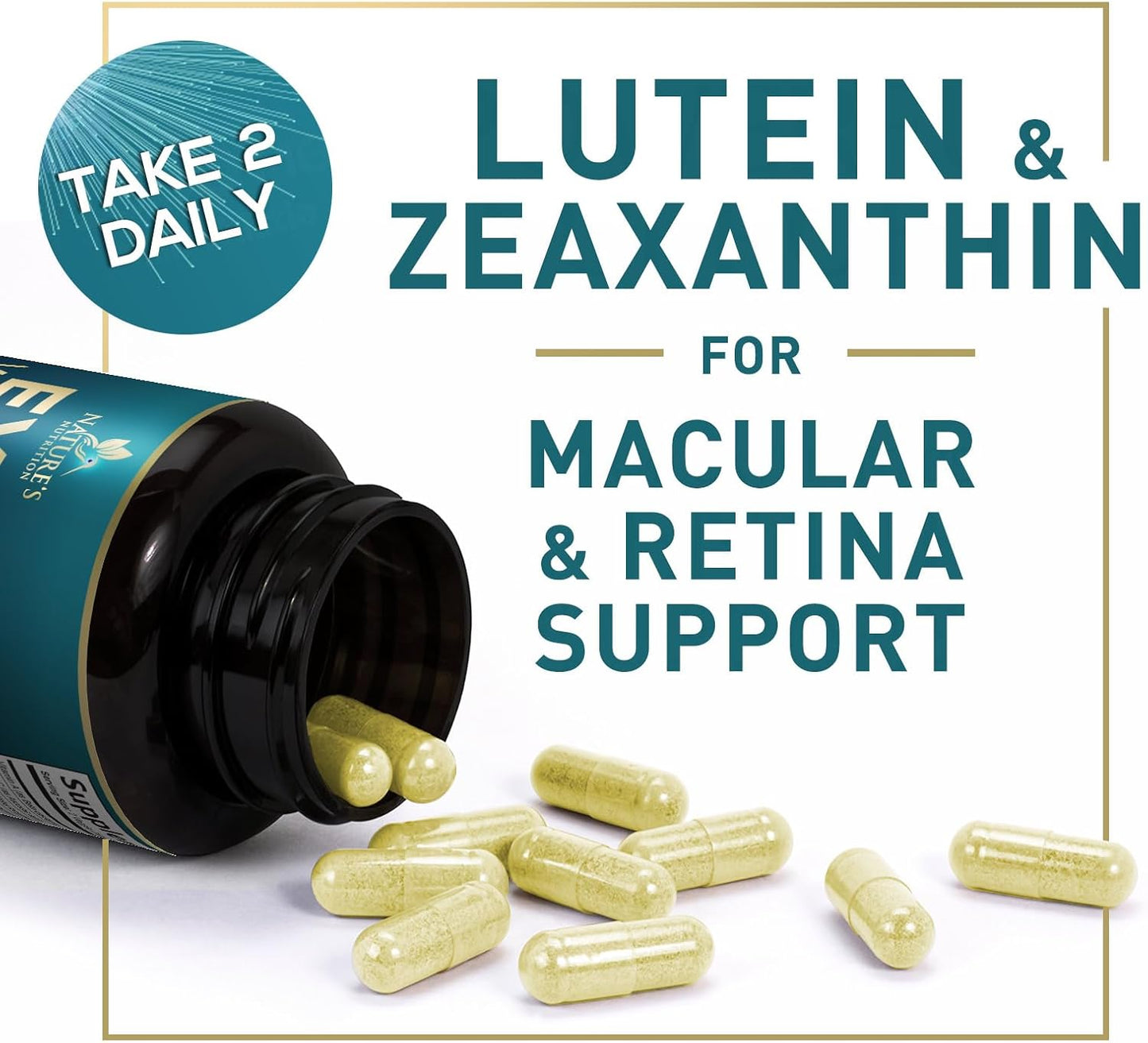 Nature's Nutrition Eye Vitamins with Lutein, Zeaxanthin, Bilberry & Zinc, Supports Eye Strain, Vision Health & Dryness for Adults with Vitamins C & E - Non-GMO, Vegan Eye Supplement - 120 Capsules