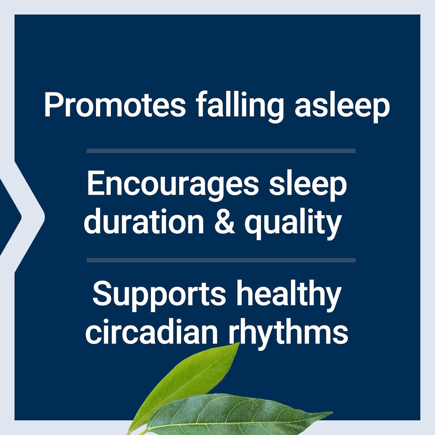Life Extension Melatonin IR/XR, 1.5 mg, immediate- and Extended-Release Formula for Optimal Sleep Support 60 Capsules