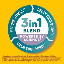 Nature Made Wellblends Calm Mind & Body, Magnesium Citrate, Ashwagandha 125mg & GABA 100mg Blend for Stress Relief, 38 Gummy Vitamins Nature Made