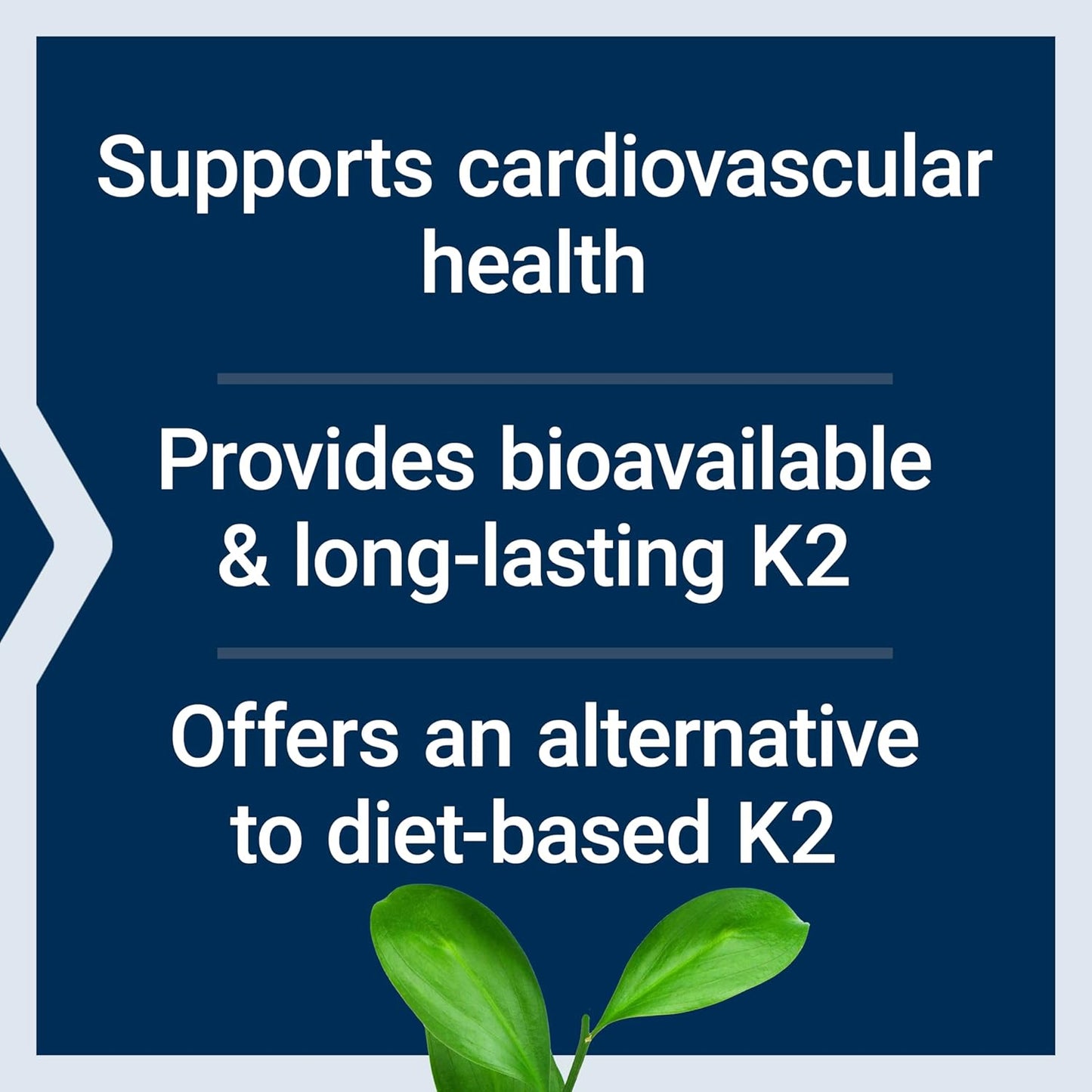 Life Extension Low Dose Vitamin K2, 90 Softgels