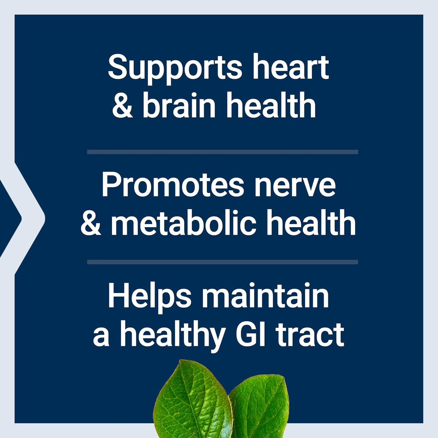 Life Extension, BioActive, Folate & Vitamin B12, 90 Vegetarian Capsules