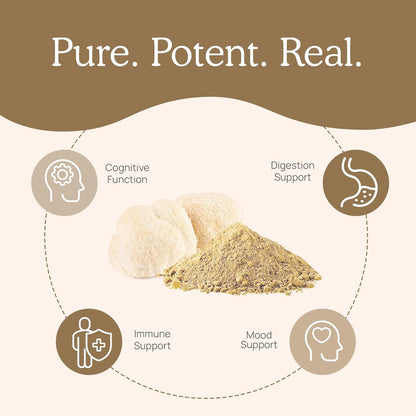 Real Mushrooms Lion’s Mane Capsules - Organic Lions Mane Mushroom Extract for Cognitive Function & Immune Support - Brain Supplements for Memory and Focus - Vegan Mushroom Supplement, 120 Caps