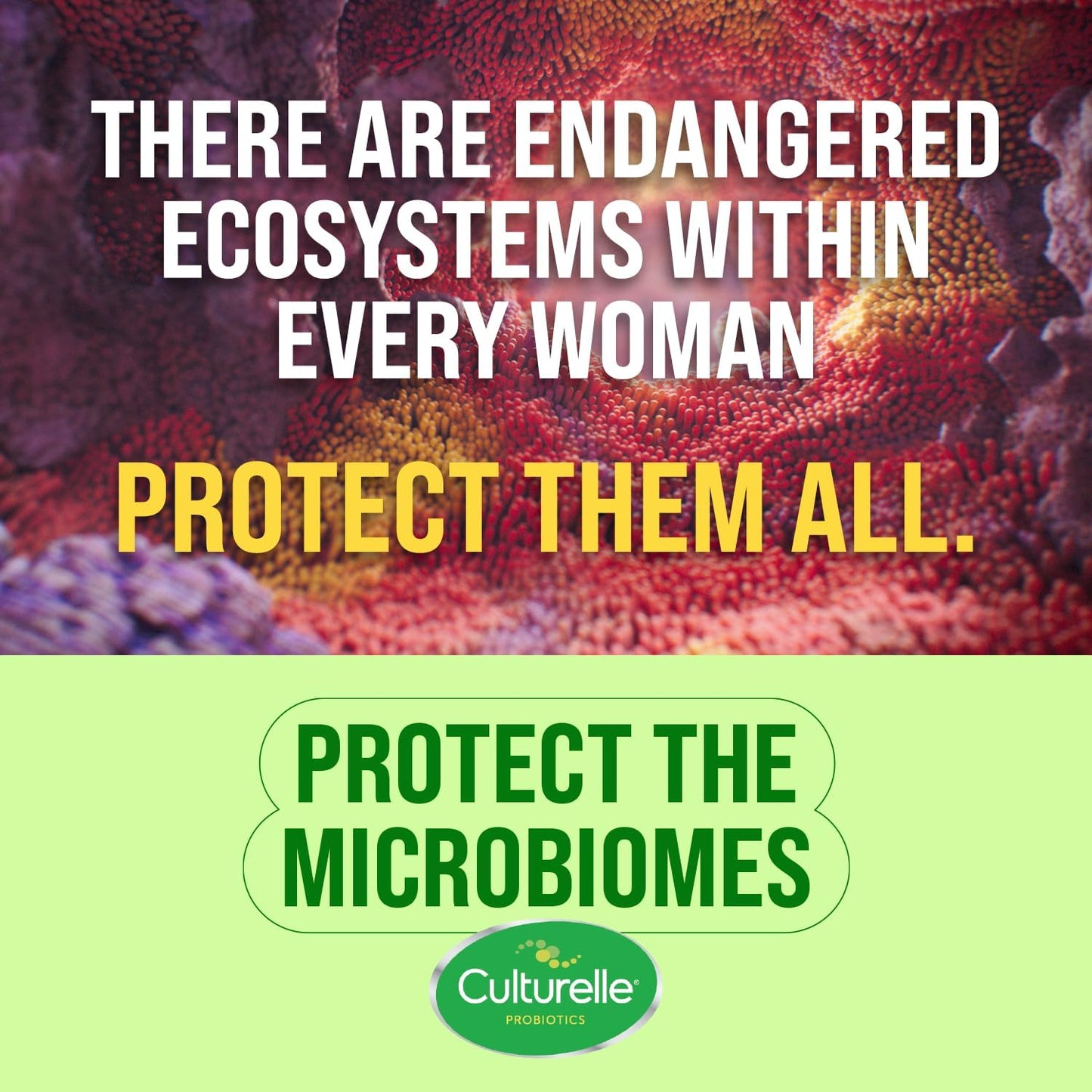 Culturelle Probiotic with Strains to Support Digestive, Immune & Vaginal Health*, Culturelle Women's Healthy Balance Probiotic, Gluten Dairy & Soy Free, 30 Count