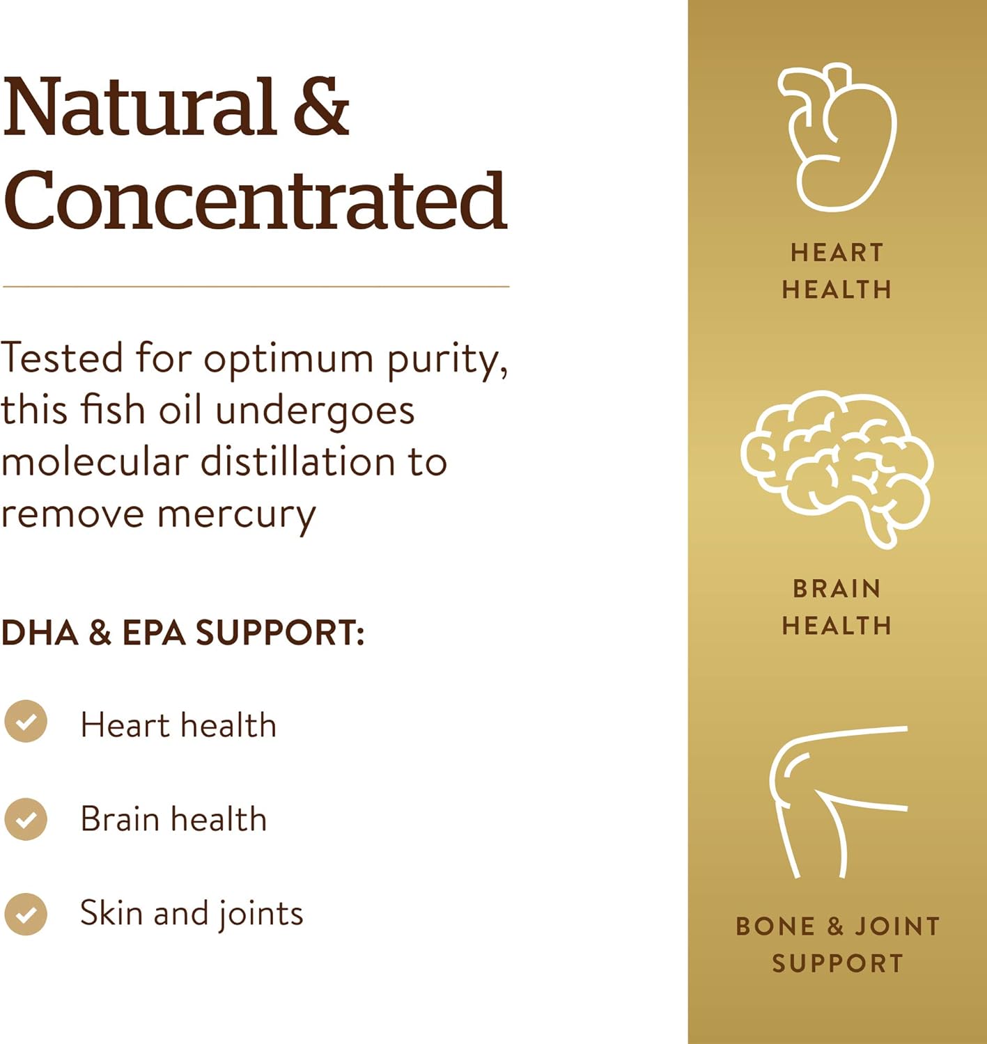 Omega-3 Fish Oil Concentrate, 240 Softgels - Support for Cardiovascular, Joint & Brain Health - Contains EPA & DHA Fatty Acids - Non GMO, Gluten/ Dairy Free - 120 Servings