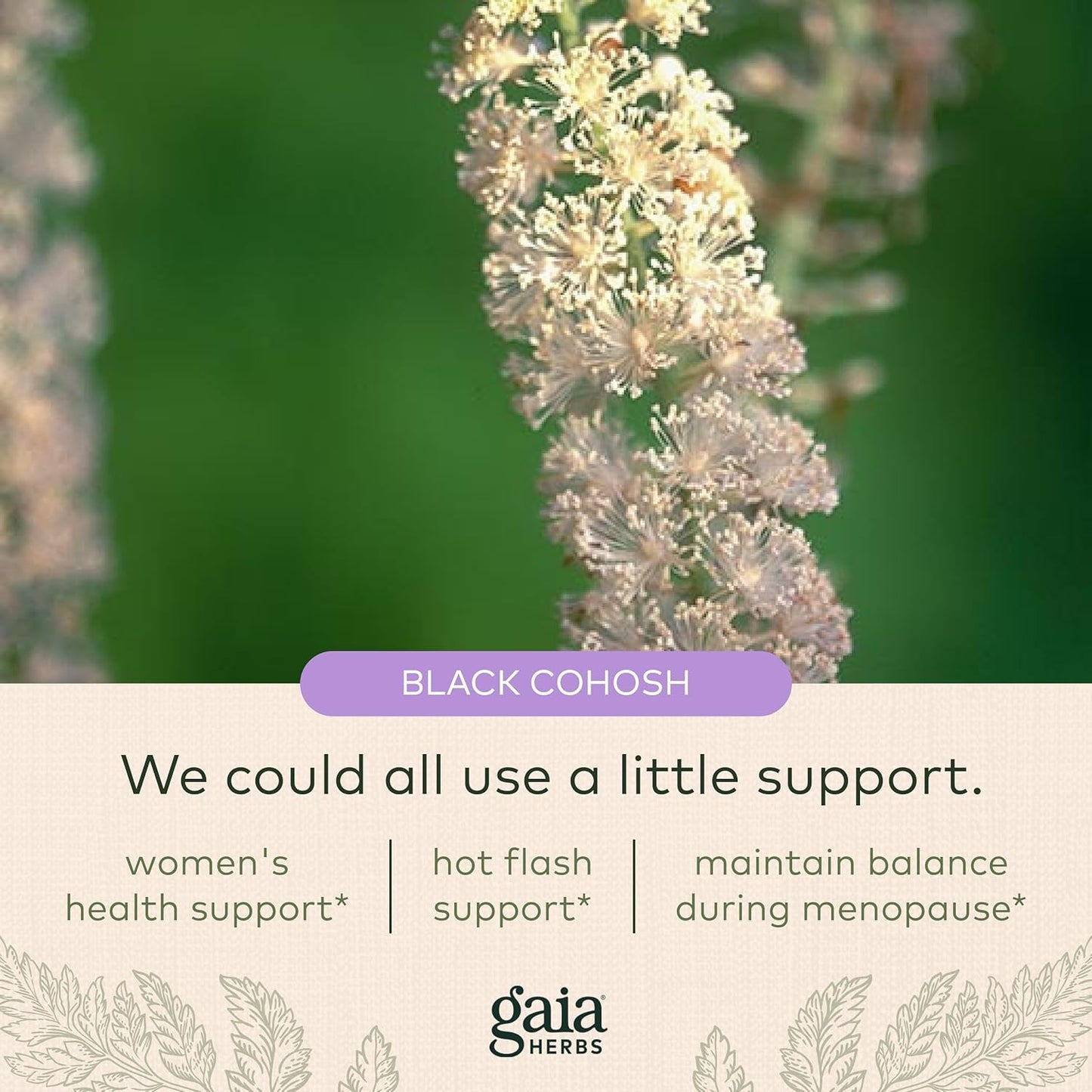 Gaia Herbs Black Cohosh - Menopause Support Supplement to Help Maintain Hormone Balance and Health for Women - with Organic Black Cohosh - 60 Vegan Liquid Phyto-Capsules