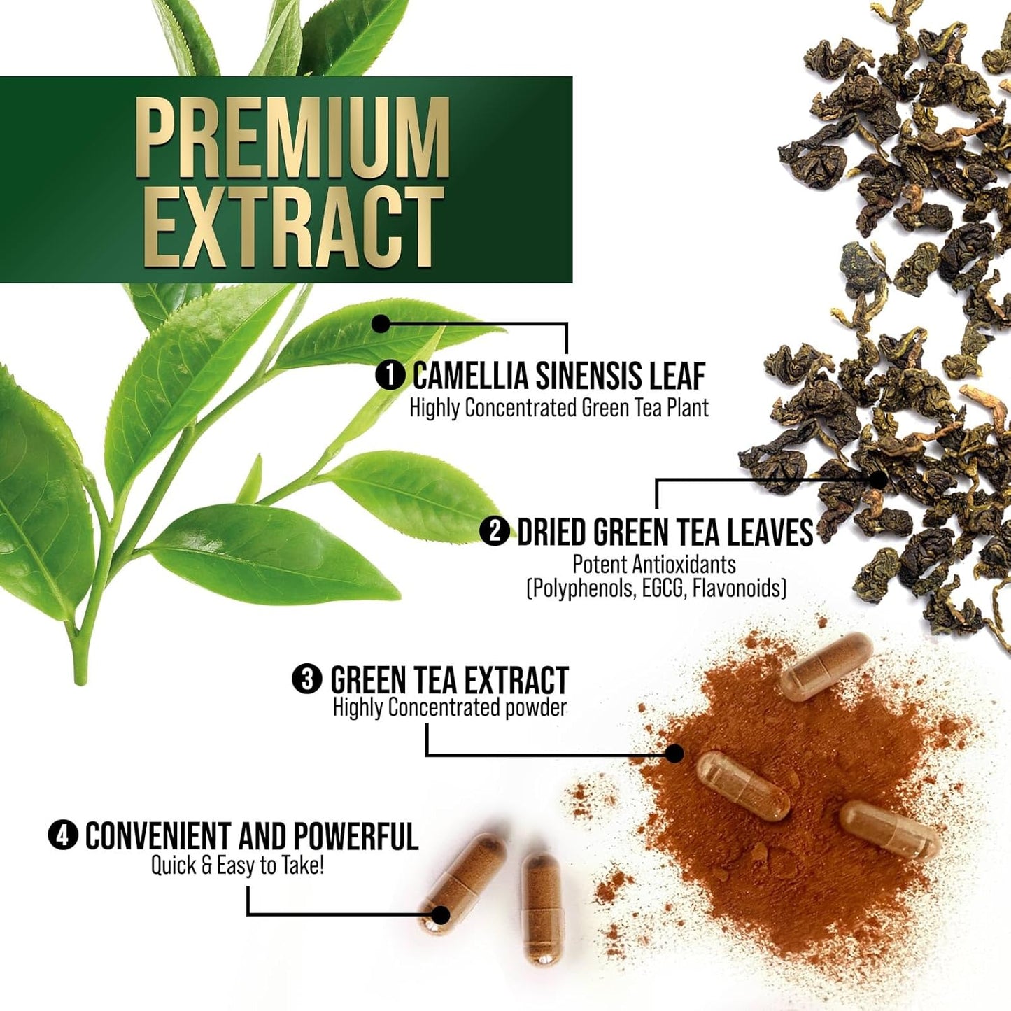 Nature's Nutrition Green Tea Extract Capsules 98% Standardized EGCG 1000mg - 3X Strength for Natural Energy - Heart Support with Polyphenols - Gentle Caffeine - 240 Capsules