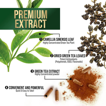 Nature's Nutrition Green Tea Extract Capsules 98% Standardized EGCG 1000mg - 3X Strength for Natural Energy - Heart Support with Polyphenols - Gentle Caffeine - 240 Capsules