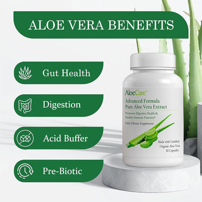 AloeCure Organic Aloe Vera Capsules, 130,000mg Equivalent per Capsule, 60 Capsules - Natural Stomach Acid Buffer - Vegan Digestive & Immune Supplement - Grown on Our Own Organic Farms - Aloin Free