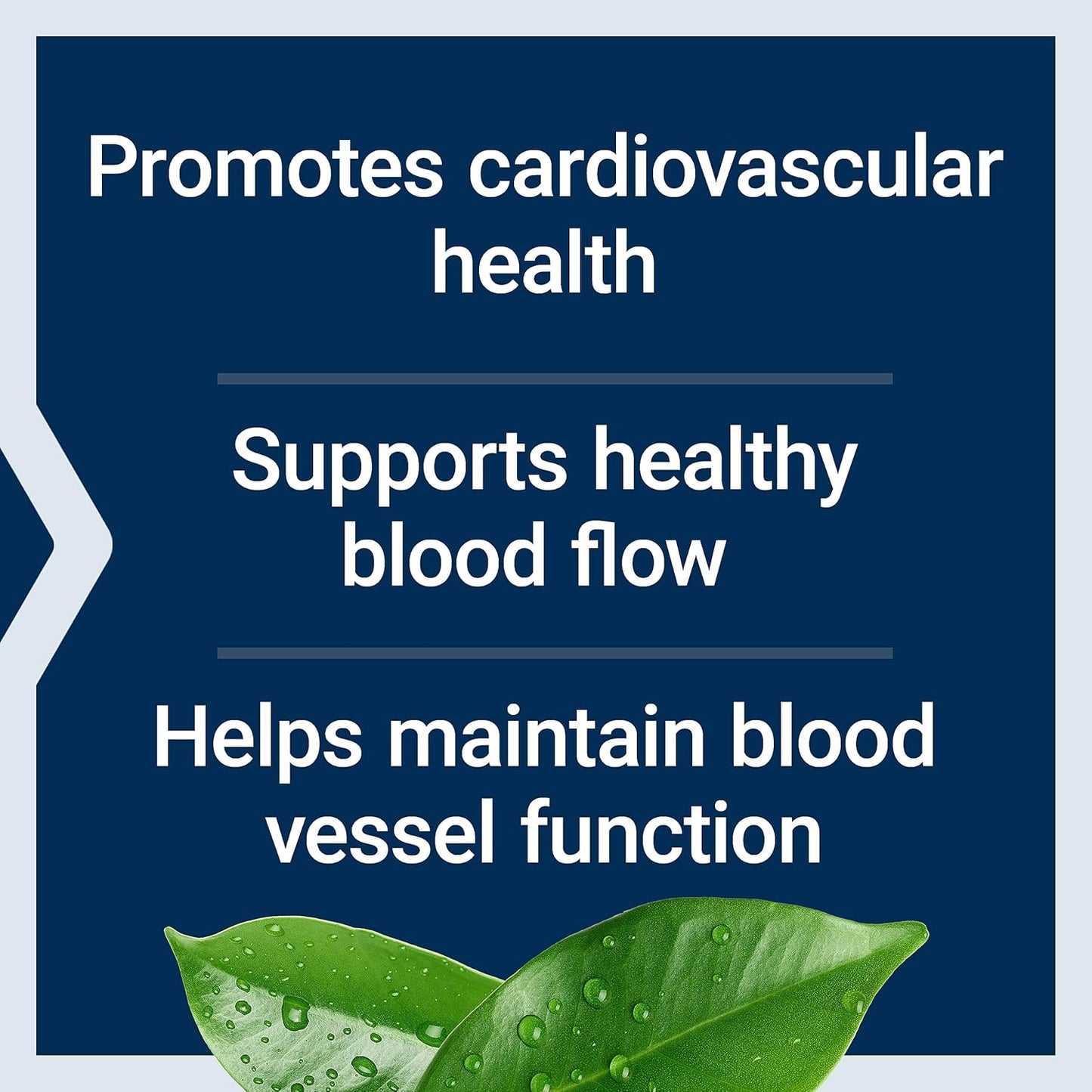 Life Extension Potassium with Extend-Release Magnesium, 60 capsules