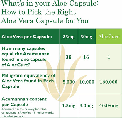 AloeCure Organic Aloe Vera Capsules, 130,000mg Equivalent per Capsule, 60 Capsules - Natural Stomach Acid Buffer - Vegan Digestive & Immune Supplement - Grown on Our Own Organic Farms - Aloin Free