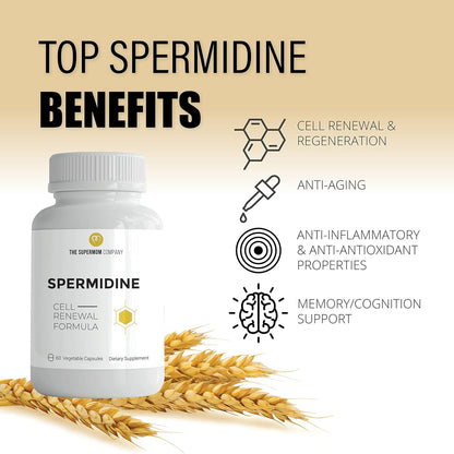 Spermidine 60 Vegetable Capsules - Wheat Germ Extract with 1000 mg Spermidine Supplement, Bioperine for Maximum Absorption and Zinc for Cell Membrane Renewal – Telomere Health and Healthy Aging