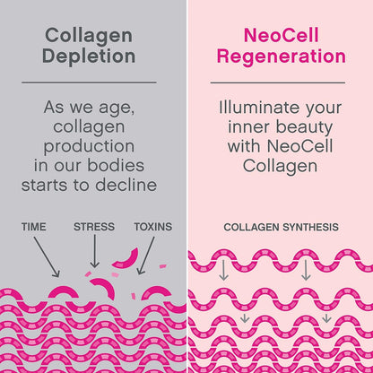 NeoCell Vegan Beauty Builder Collagen Alternative Plant-Based Vegan Collagen