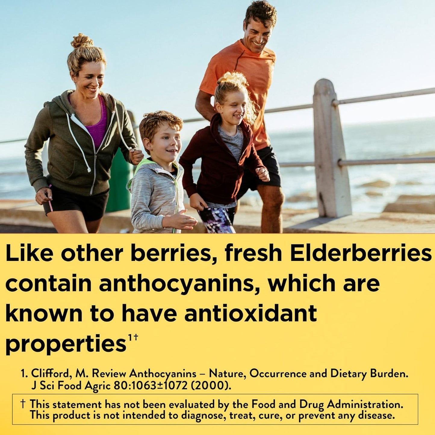 Nature Made Kids First Elderberry with Vitamin C and Zinc, 40 Elderberry Gummies