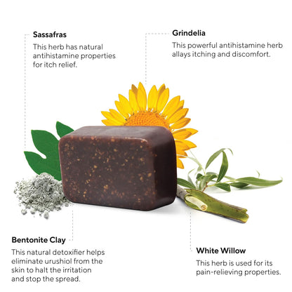 MARIE'S ORIGINAL Poison Ivy Soap Bar | All Natural Poison Ivy Treatment | Anti-Itch Skin Cleanser Bar Wash for Poison Ivy, Poison Oak & Sumac | Soothes & Relieves Rashes | 2.9 Ounces