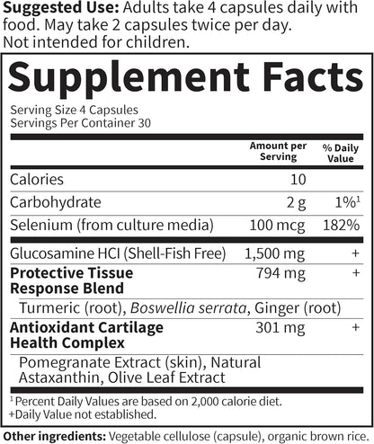 Garden of Life Glucosamine Supplement, FYI Ultra Ultimate Joint and Cartilage Support for Women and Men, 1,500 mg Glucosamine HCI, Turmeric, Astaxanthin - Vegetarian & Shell-Fish Free, 120 Capsules