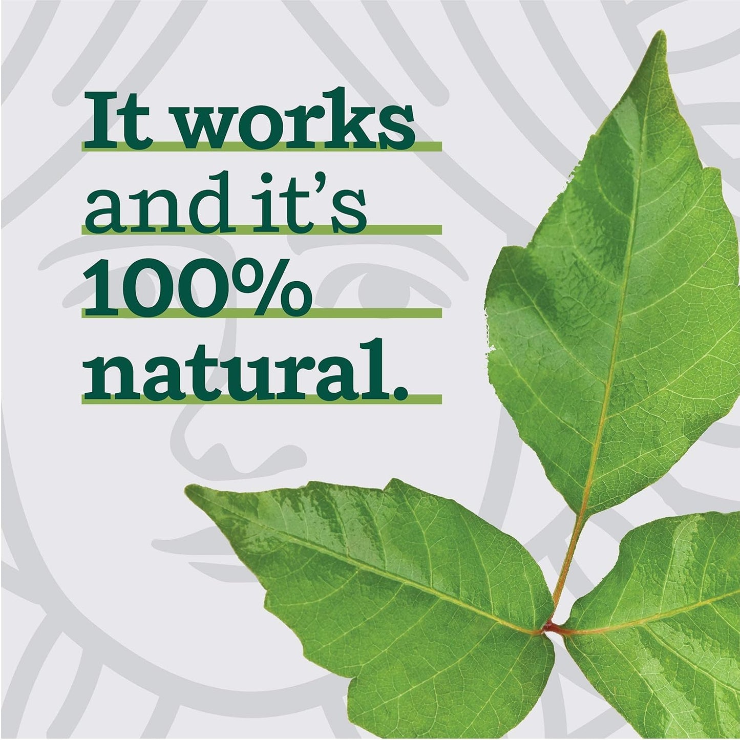 MARIE'S ORIGINAL Poison Ivy Soap Bar | All Natural Poison Ivy Treatment | Anti-Itch Skin Cleanser Bar Wash for Poison Ivy, Poison Oak & Sumac | Soothes & Relieves Rashes | 2.9 Ounces