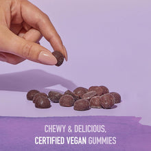 Garden of Life Organics Elderberry Gummies for Adults & Kids - Immune Support Supplement with Organic Fruit, Herbal Blend, Elderberry, Echinacea, Zinc, Vitamin C, 120 Vegan Gluten Free Gummies Garden of Life