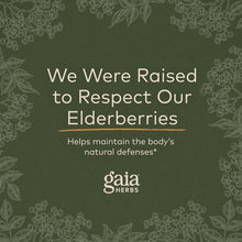 Gaia Herbs Black Elderberry (Sambucus Nigra)for Immune System Support - 40 Gummies Gaia Herbs