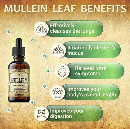 HERBALICIOUS Mullein Leaf Extract - Verbascum Thapsus Liquid Supplement - Herbal Tincture Promoting & Detox Lungs, Respiratory & Digestive Wellness - Lung Cleanse - Vegan Drops, Non-GMO - 2 fl. Oz