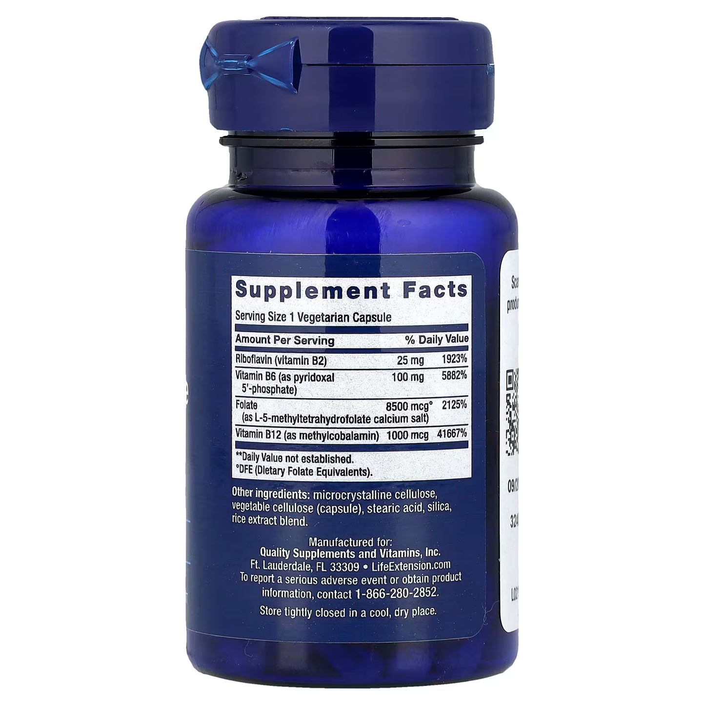 Life Extension, Homocysteine Resist, 60 Vegetarian Capsules