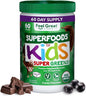 Feel Great USDA Organic Super Greens for Kids | Vegan Chocolate Greens Powder with Veggie Powder for Kids | Superfood Powder with Probiotics & Digestive Enzymes for Digestive Health | 2 Month Supply

